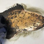 The Making of the Scorpion Fish Plate & Print