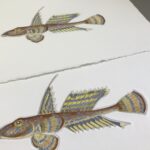 Dragonet